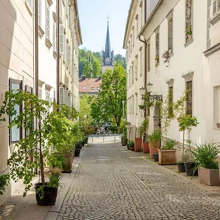 Artistic Quiet Crusader Street * 卢布尔雅那