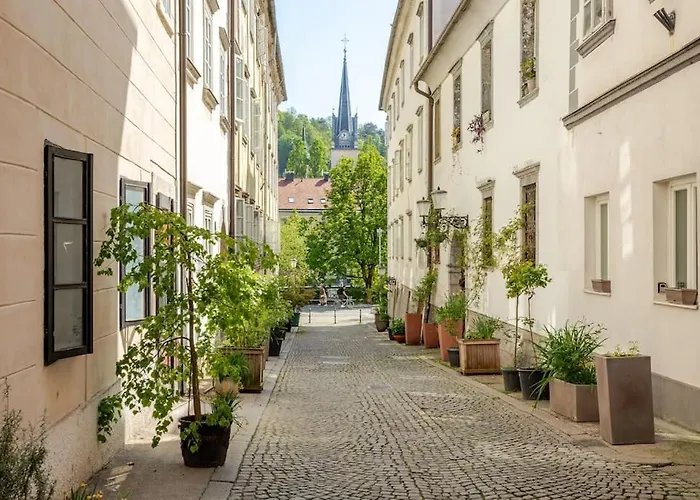 Artistic Quiet Crusader Street * 卢布尔雅那