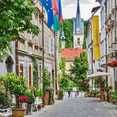 Artistic Quiet Crusader Street ليوبليانا