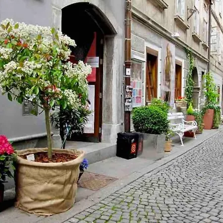 Artistic Quiet Crusader Street アパート *