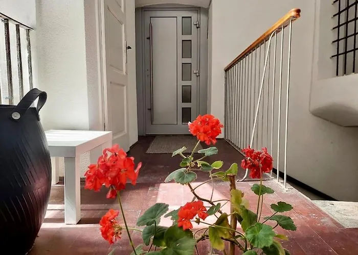 Artistic Quiet Crusader Street