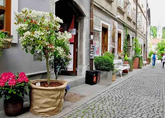 Artistic Quiet Crusader Street Apartman *